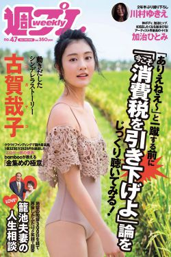王政扫黑风爆